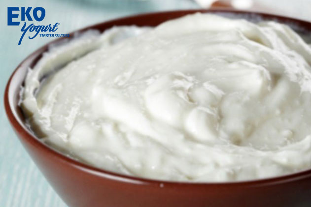 Probiotic Yogurt