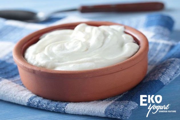 Probiotic Yogurt