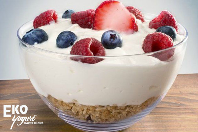 Probiotic Yogurt